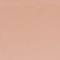 Artikel Plantenschaal ovale sierschaal kunststof roze bruin 20×10×11cm 3st
