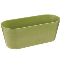 Artikel Plantenschaal ovaal groen schaal kunststof 27×11×10cm 3st