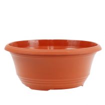 Artikel Plantenschaal kunststof Ø23cm H10cm 1 stuk