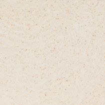 Artikel Plantenschip kunststof plantenschaal beige 28×9×9cm 3st