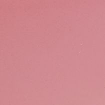 Artikel Plantenboot plastic bloemenschaal roze 28×9×9cm 3st
