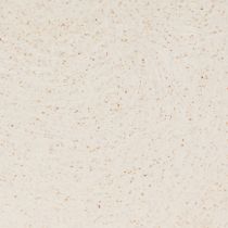 Artikel Plantenboot plastic schaal beige 24×10×15cm 3st