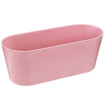 Artikel Plantenboot plantenbak ovaal roze 27×11×10cm 3st