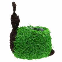 Artikel Plantenbak Slak Vine Naturel, Groen 21x14cm H26cm