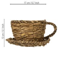 Artikel Plantenpotje met schotel, klein rieten plantenmandje, Ø17cm H13cm