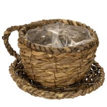 Artikel Plantenpotje met schotel, klein rieten plantenmandje, Ø17cm H13cm