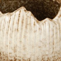 Artikel Bloempot Keramiek Ei Gebroken Crème Bruin Ø9.5cm 3 Stuks