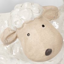 Artikel Keramische plantenpot in de vorm van een schaap, decoratieve plantenschaal voor tuin en huis, 2 stuks