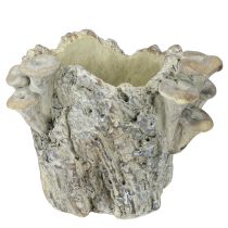 Artikel Bloempot van gegoten steen met paddenstoelen boomstronk 16cm
