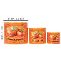 Artikel Tomatenplantenpotten set, keramische decoratieve bloempotten voor keuken en retro interieur, 14 cm, set van 3