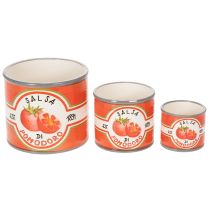 Artikel Decoratieve keramische plantenpotten met tomatenmotief voor stijlvolle woonaccessoires, 14 cm, set van 3