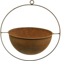 Sierschaal metaal decor ring patina hangende decoratie Ø27cm