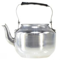 Artikel Plantenpot metalen decoratieve waterkan zilver vintage Ø15cm