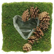 Plantenkussen hart mos en kegels vierkant 25×25cm