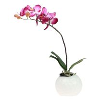 Kunstorchideeën in pot Phalaenopsis kunstbloemen orchideeën roze 34cm