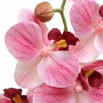 Orchidee kunsttak Phaelaenopsis roze H49cm