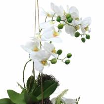 Orchidee met Varen en Mosbollen Kunstmatig Wit Hangend 64cm