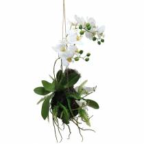 Artikel Orchidee met Varen en Mosbollen Kunstmatig Wit Hangend 64cm