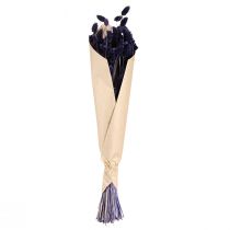 Artikel Phalaris Violet Gedroogd Decoratief Gras 50-55cm 100g