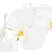 Artikel Kunstmatige orchidee, bedrieglijk realistisch, voor decoratie in kantoor en woonkamer, 62 cm