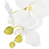 Artikel Kunstmatige orchidee, bedrieglijk realistisch, voor decoratie in kantoor en woonkamer, 62 cm