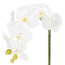 Artikel Kunstmatige orchidee, bedrieglijk realistisch, voor decoratie in kantoor en woonkamer, 62 cm