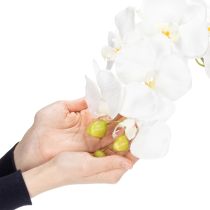 Artikel Kunstmatige orchidee, bedrieglijk realistisch, voor decoratie in kantoor en woonkamer, 62 cm
