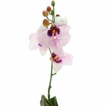 Orchidee phaleanopsis kunstmatig wit, paars 43cm