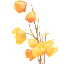 Artikel Kunstmatige Chinese lampionplant, Physalis-tak met bloesem, 95 cm