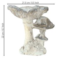 Artikel Paddenstoeldecoratie gegoten steen grijs wit gewassen 21,5×18×22cm