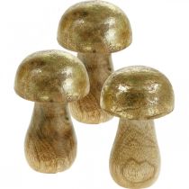 Paddenstoel mangohout goud, natuurlijke decoratieve paddenstoel Ø6cm H10cm 4st