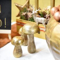 Paddenstoel mangohout goud, natuurlijke decoratieve paddenstoel Ø6cm H10cm 4st