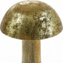 Paddenstoel mangohout goud, natuurlijke decoratieve paddenstoel Ø9cm H15.5cm 2st