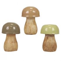Artikel Houten champignons decoratieve champignons hout beige, groen Ø5cm 7,5cm 12st