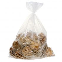 Artikel Dennenappels Pinus Dennenappels crème gemengd 5-18cm 25 st