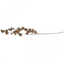 Artikel Decoratieve Tak Plataan met Vruchten Herfstdecoratie Kunst Plataan Bruin L82cm Ø2-4cm