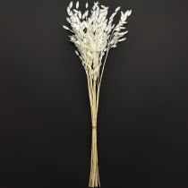 Artikel Platoorgras droog gras Chasmantium Wit 70cm 10 stuks
