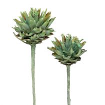 Artikel Plumosum 1 Groen Mat 25 st