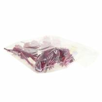 Artikel Plumosum 1 Erika 25 st