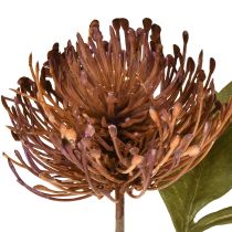Artikel Protea kunstspeldenkussen Leucospermum paars 30cm 6 stuks