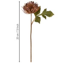Artikel Protea kunstspeldenkussen Leucospermum paars 30cm 6 stuks
