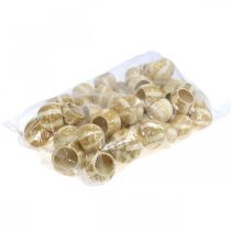 Artikel Pompoendecoratie Bell Cup Pompoen Cup gebleekt 50 st