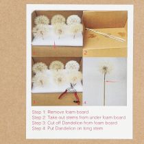 Artikel Decoratieve paardenbloem in het wit – delicate gedroogde bloemen voor stijlvolle arrangementen Ø11cm 6 st.