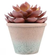 Artikel Vetplant in pot Echeveria kunst rood vintage Ø15cm H16cm