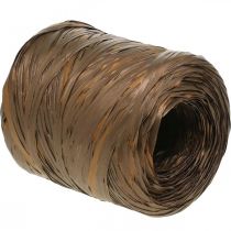 Artikel Raffialint bruin bicolor cadeaulint decoratief lint 200m