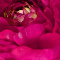 Artikel Kunstmatige ranunculus als enkele bloem voor een tijdloze en veelzijdige interieurstijl, 51 cm, 3 stuks
