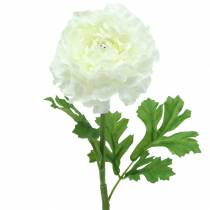 Artikel Ranunculus Wit H45cm