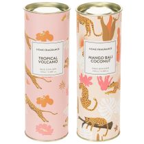 Artikel Kamergeurverspreider met exotische kokos- en mangogeur voor langdurige frisheid in huis, 19 cm, 2 stuks