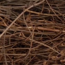 Artikel Natuurlijke druivenkrans Ø15cm, set van 10 - Ideaal voor herfst-, kerst-, paas- en rouwdecoraties