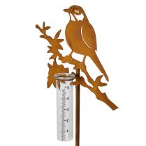 Regenmeter tuinplug roest vogel 23x7,5x110cm